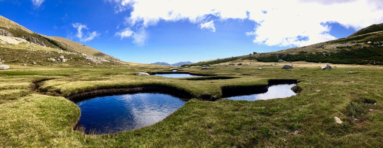 Pozzines sur le sommet du Monte Renosu