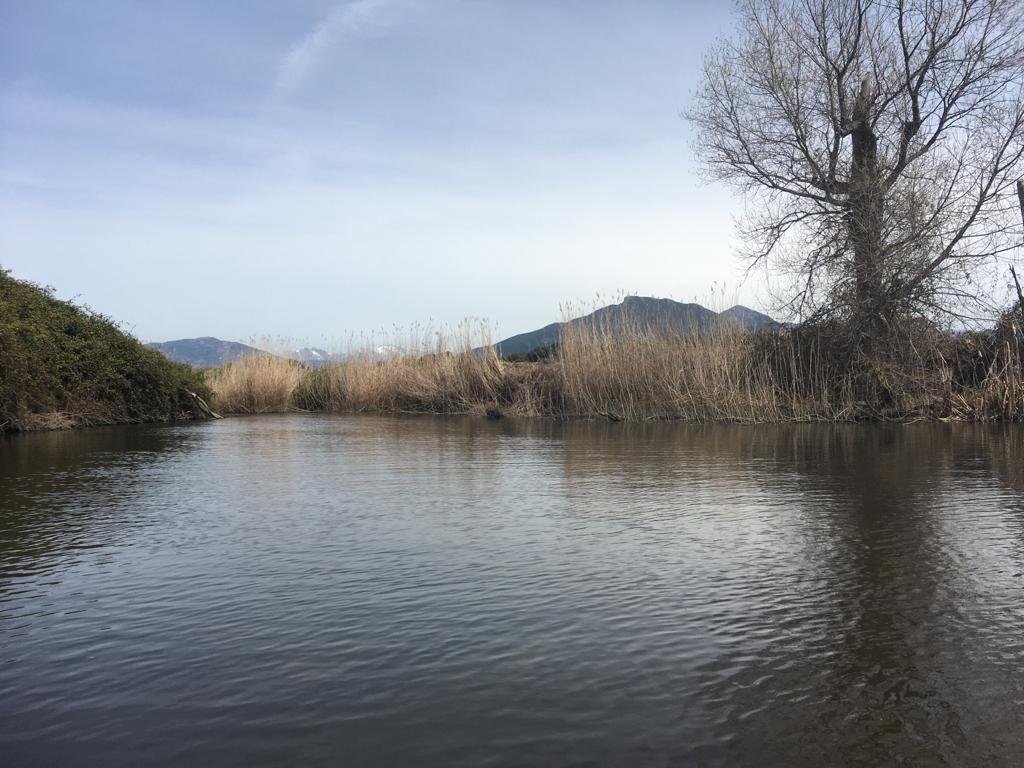 Scenery during the Prunelli River descent