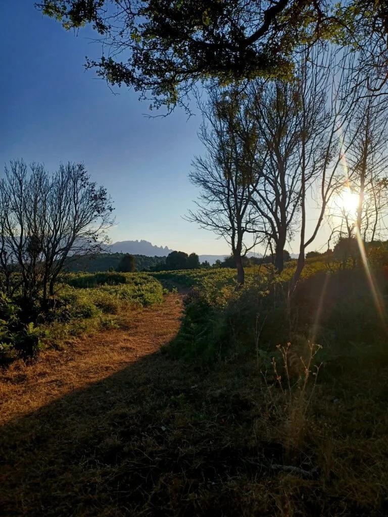 Alt à définir