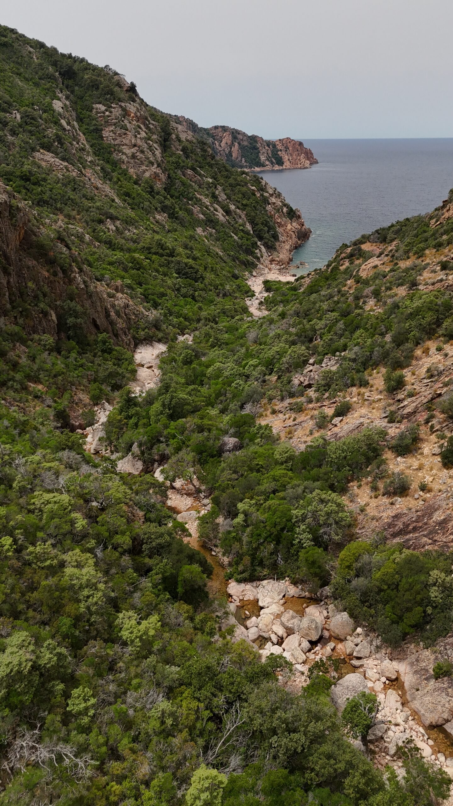 Canyon du Dardu à Piana