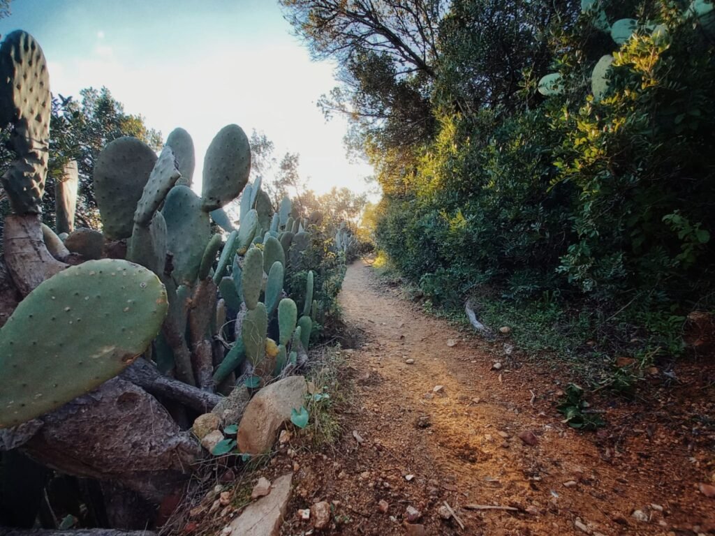 Randonnée de Capo di Muro en Corse